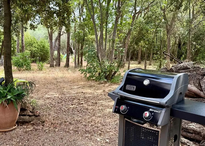 Porto-vecchio 公寓 *